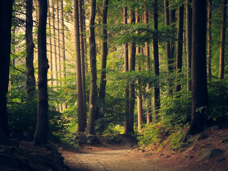 Protéger l'environnement